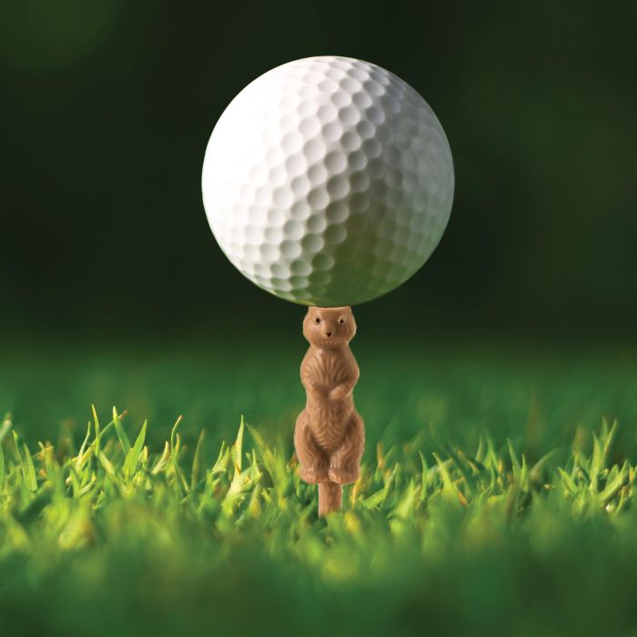 KIKKERLAND GOPHER THE CADDY GOLF TEE