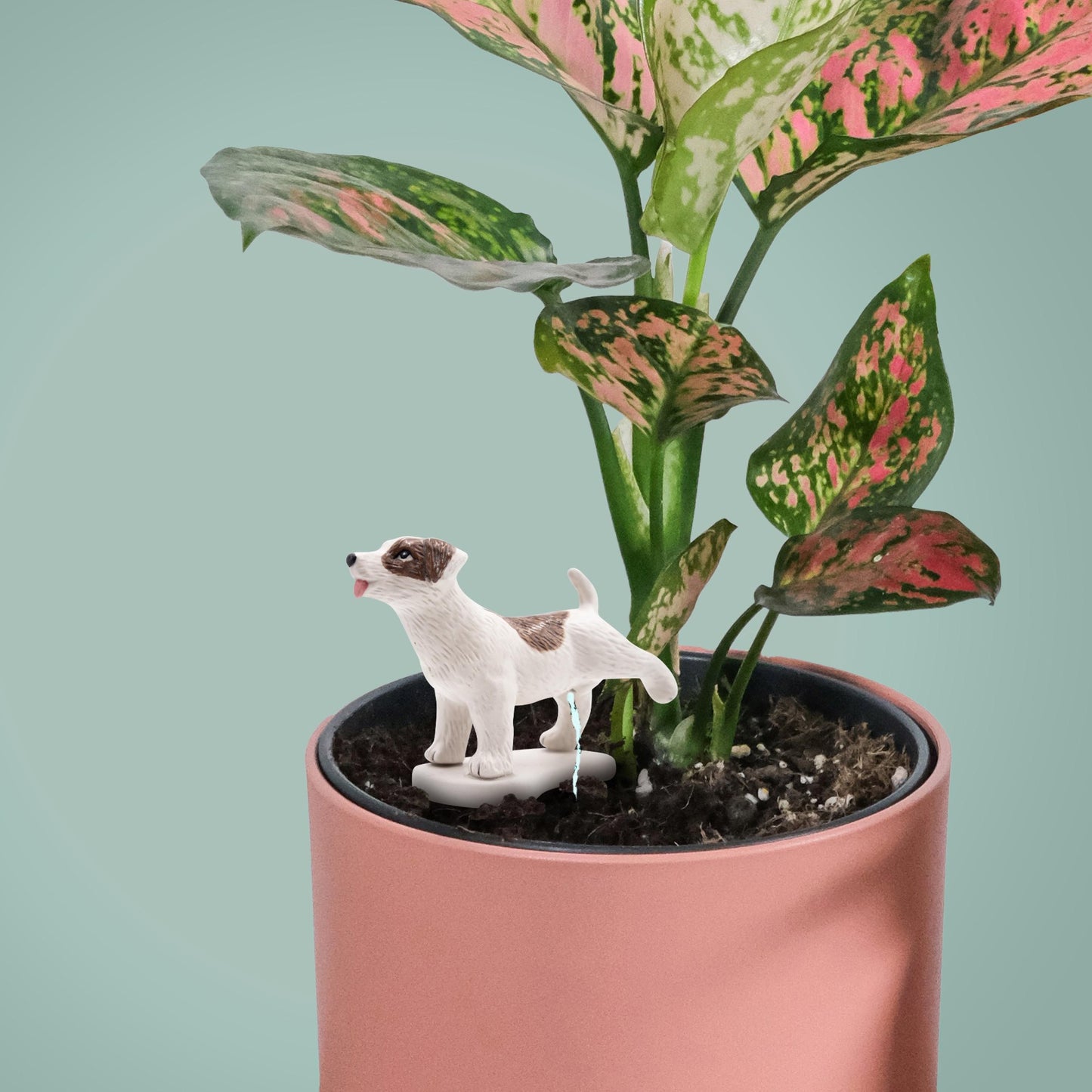 PEE MY PLANTS DOG WATERING DECORATION