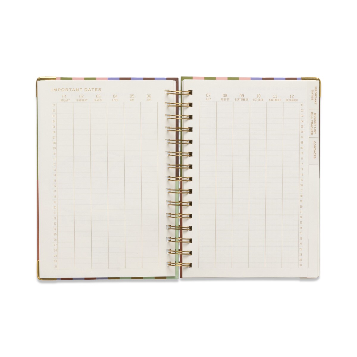 DESIGNWORKS INK 13 MONTH PERPETUAL PLANNER - BOLD STRIPE