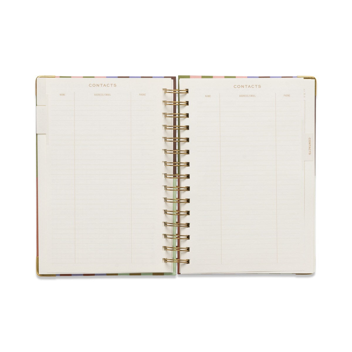 DESIGNWORKS INK 13 MONTH PERPETUAL PLANNER - BOLD STRIPE