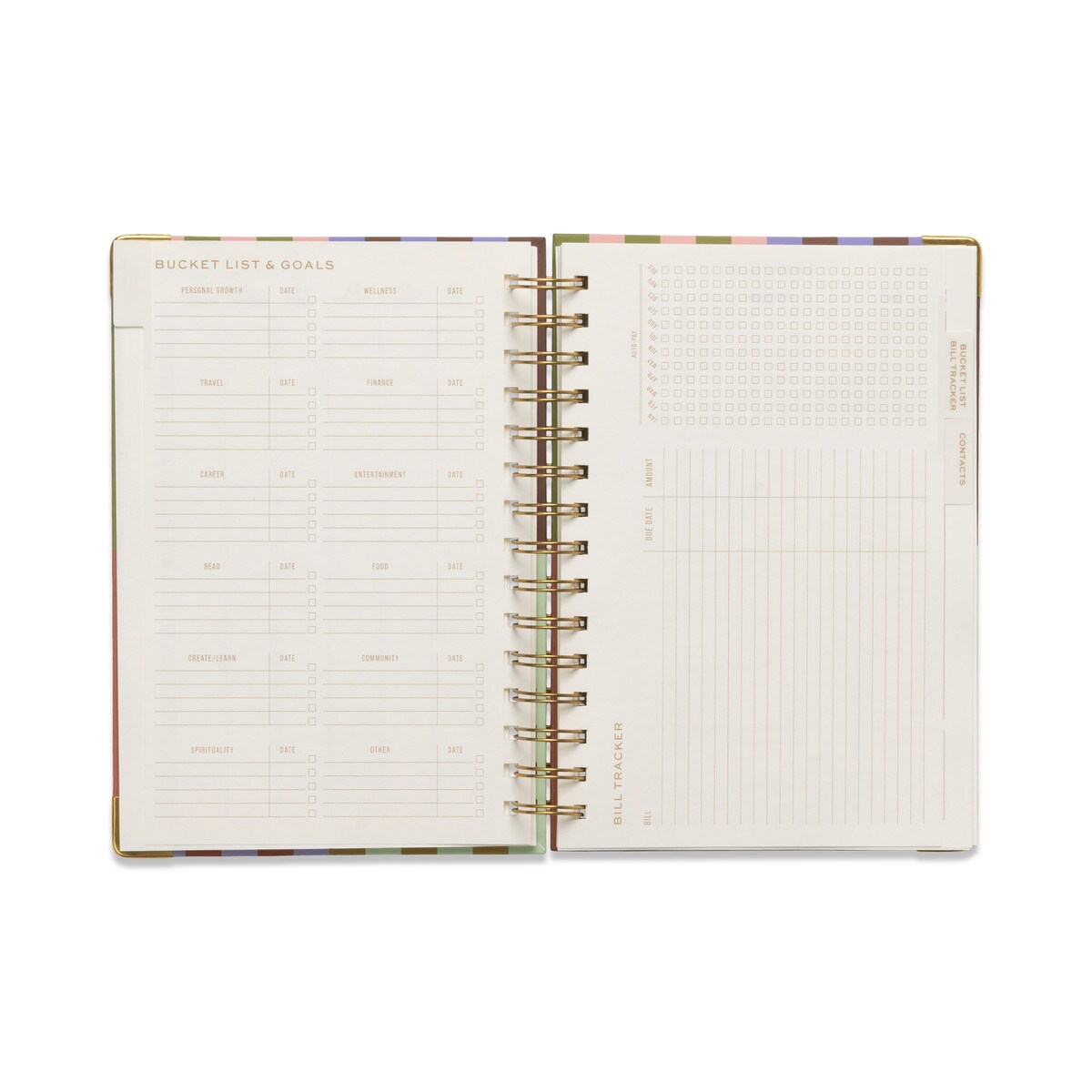 DESIGNWORKS INK 13 MONTH PERPETUAL PLANNER - BOLD STRIPE