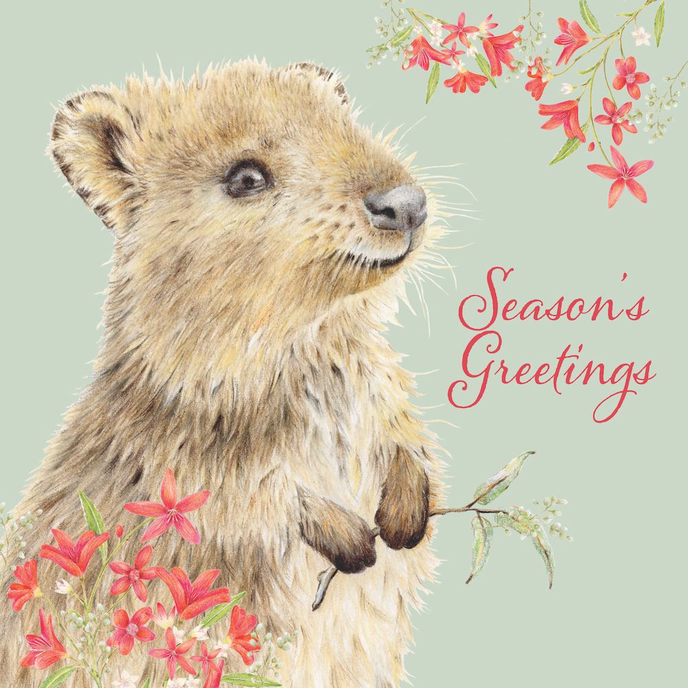 CHARITY CHRISTMAS CARD PACK CMRI - QUOKKA GREETINGS