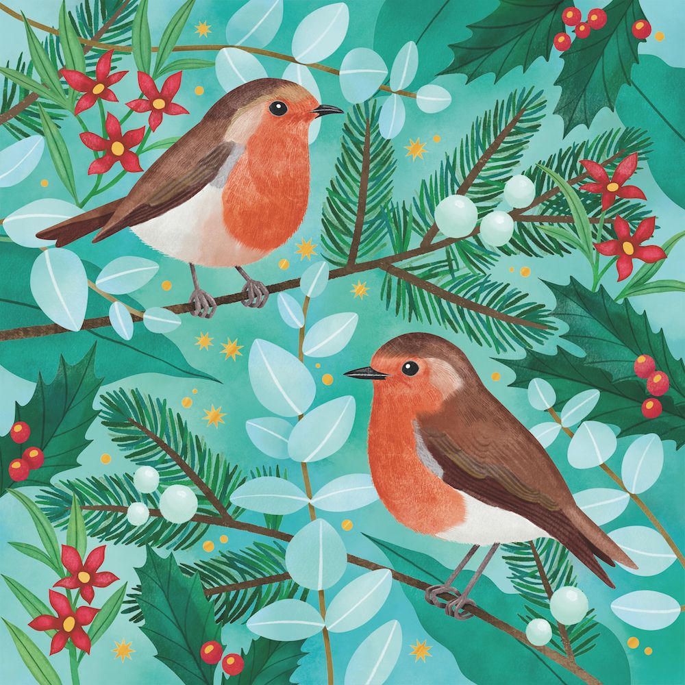 CHARITY CHRISTMAS CARD PACK CMRI - ROBINS