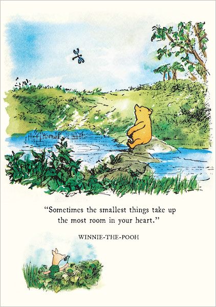 WINNIE CARD SMALLEST THINGS