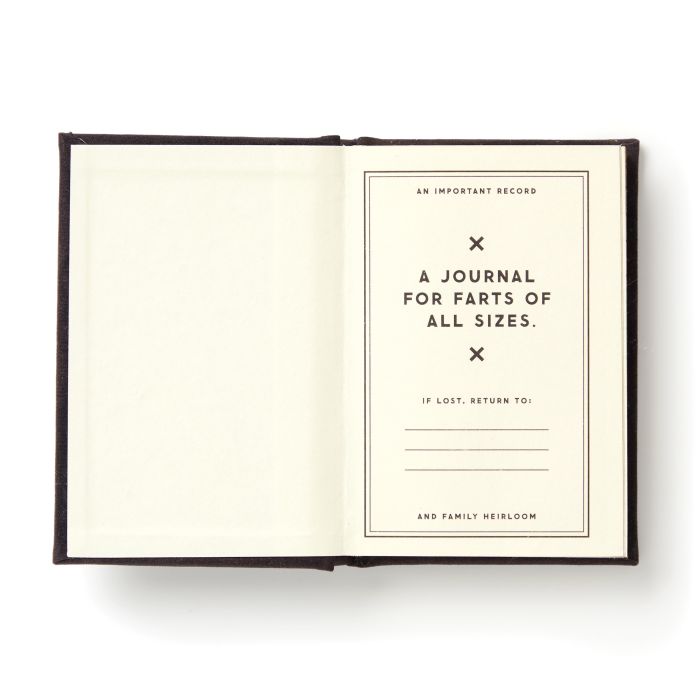 BRASS MONKEY A TINY FART DIARY