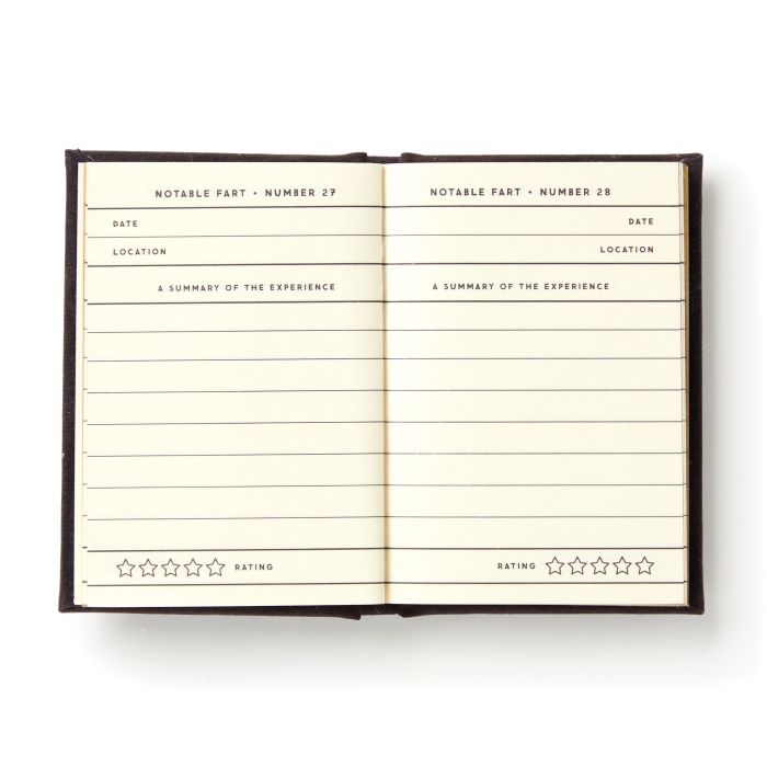 BRASS MONKEY A TINY FART DIARY