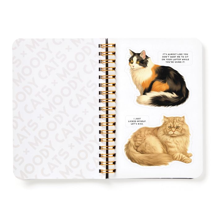 BRASS MONKEY MOODY CATS STICKER BOOK