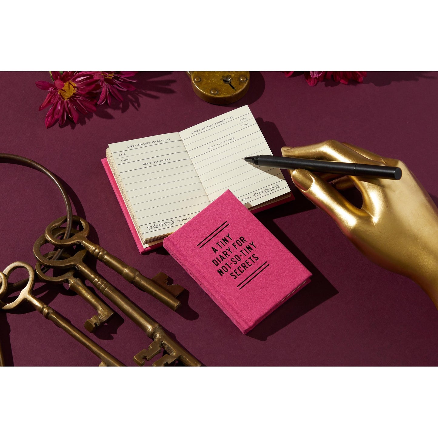 BRASS MONKEY TINY DIARY FOR NOT SO TINY SECRETS