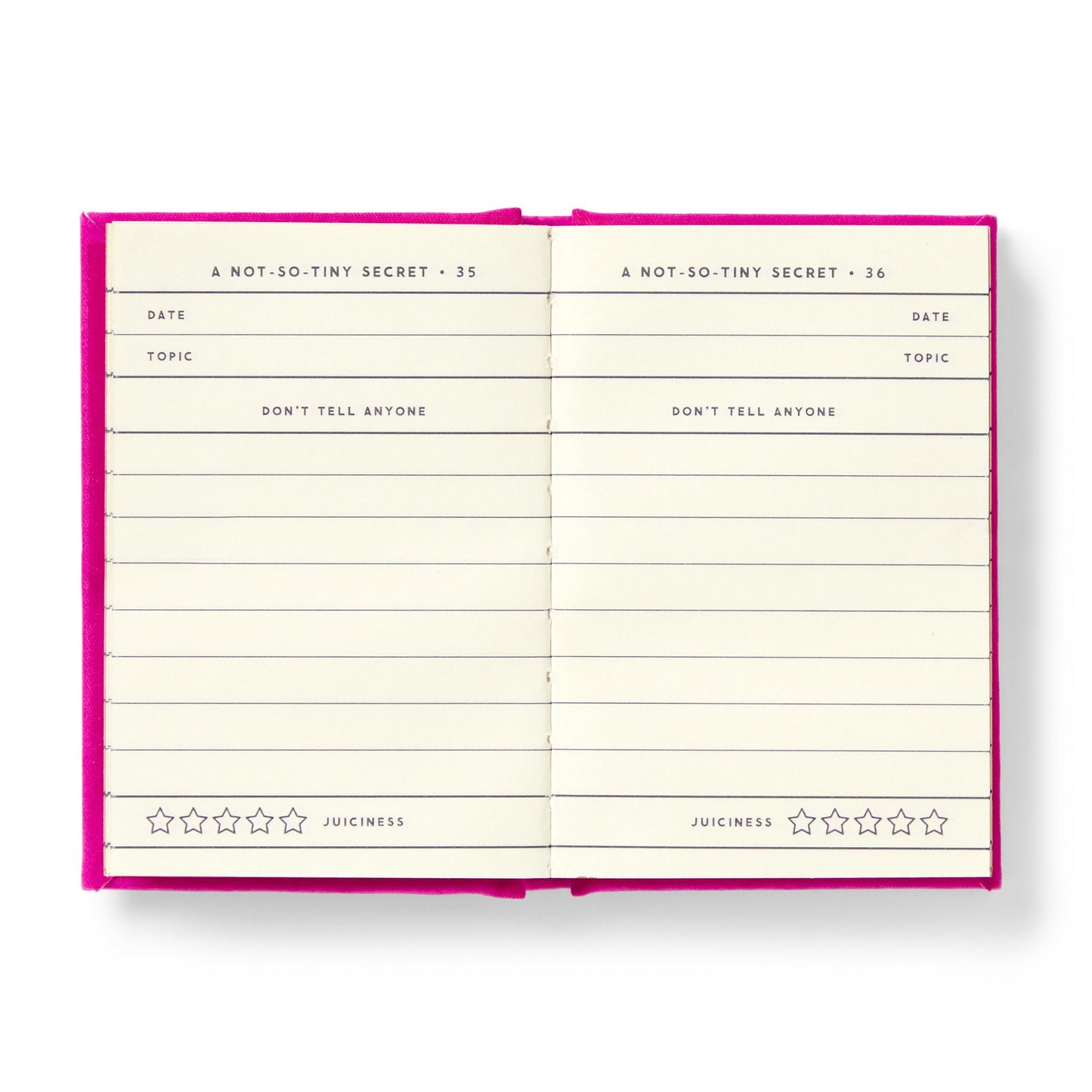 BRASS MONKEY TINY DIARY FOR NOT SO TINY SECRETS