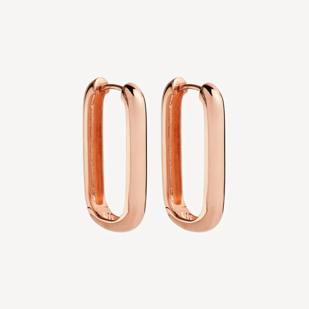 NAJO ROSE GOLD PLATED ELEMENTAL HOOP EARRING #