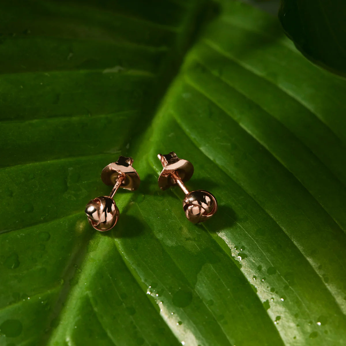 NAJO ROSE GOLD PLATED ROUND KNOT STUD