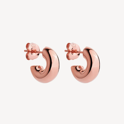 NAJO ROSE GOLD PLATED MOONBOW STUD EARRING