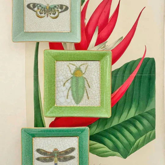 EXOTICA WALL PLATE  BUPRESTIS