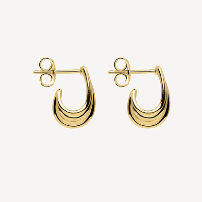 NAJO GOLD PLATED VITALITY EARRINGS