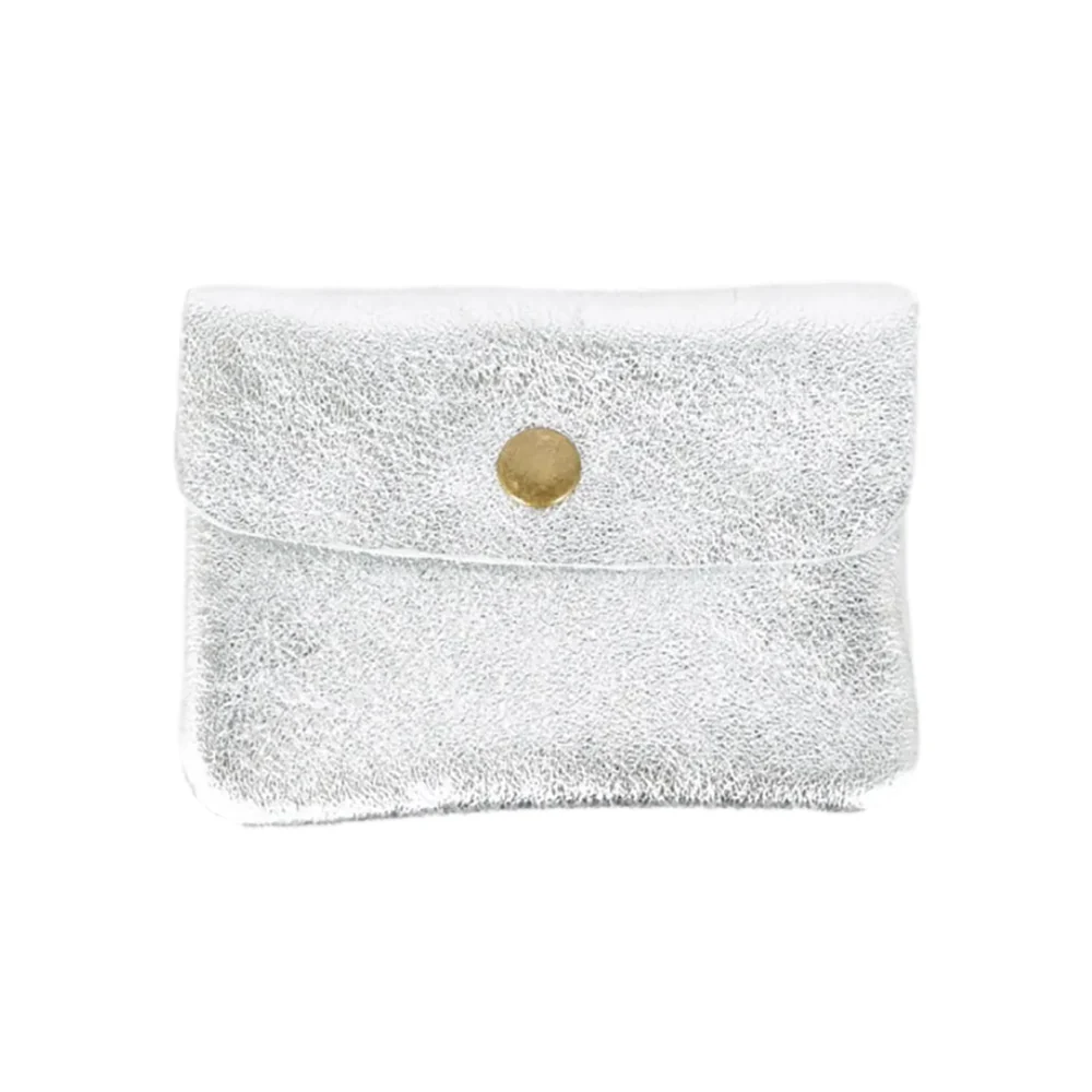 MAISON FANLI COIN PURSE METALLIC SILVER [CLR:METALLIC SILVER]