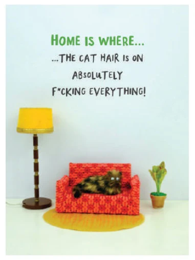BOLD & BRIGHT CARD HOME IS WHERE THE CAT HAIR IS