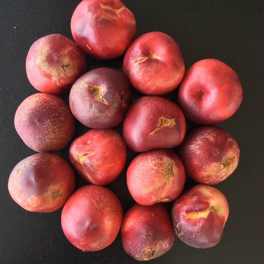 UGLY DUCK NECTARINE & TURMERIC PASTE