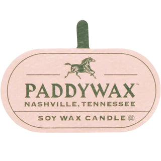 PADDYWAX VISTA CANDLE 340G CACTUS FLOWER & ALOE