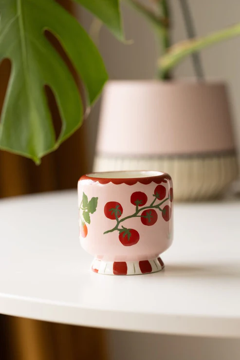 PADDYWAX ADOPO TOMATO VINE CERAMIC CANDLE HEIRLOOM TOMATO