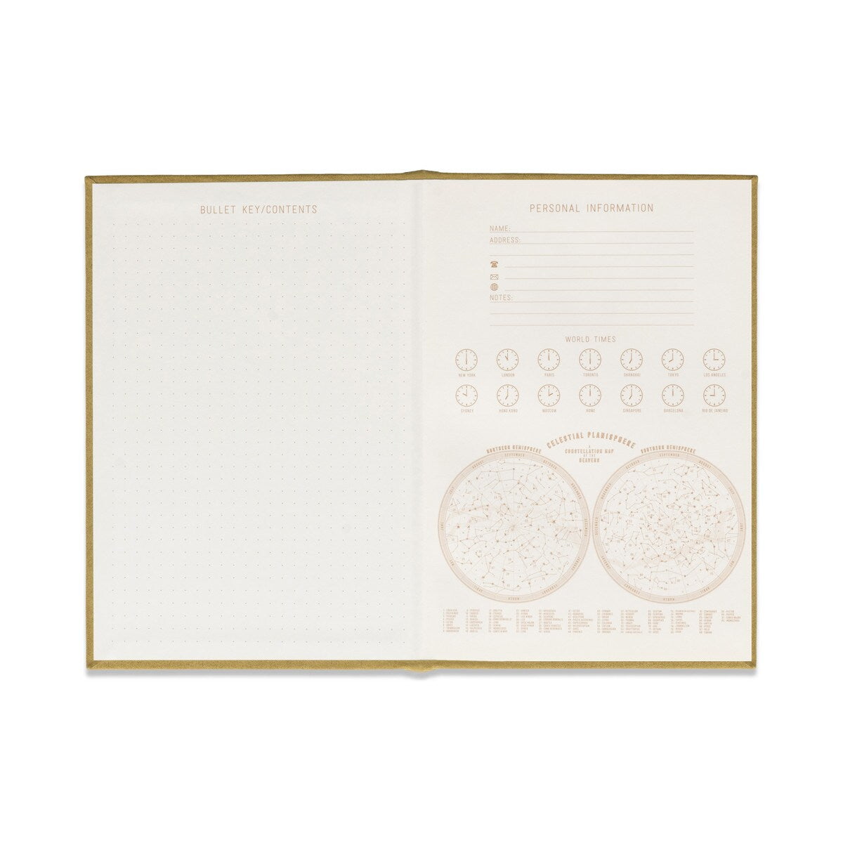DESIGNWORKS INK RADIANT JOURNAL - AVOCADO