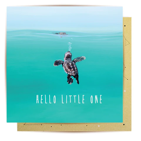 LALA CARD BABY TURTLE