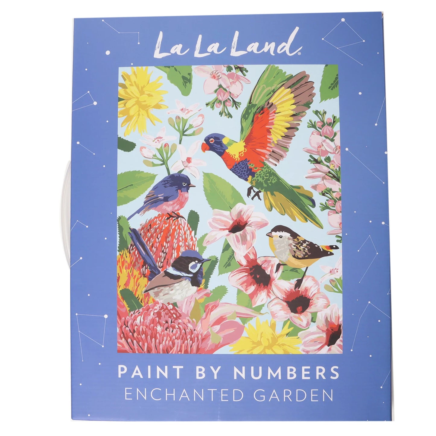LALA PAINT BY NUMBER ENCHANTED GARDEN