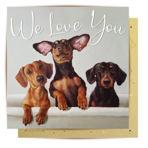 LALA CARD 3 AMIGOS
