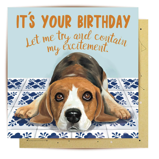 LALA CARD CONTAINING THE EXCITEMENT