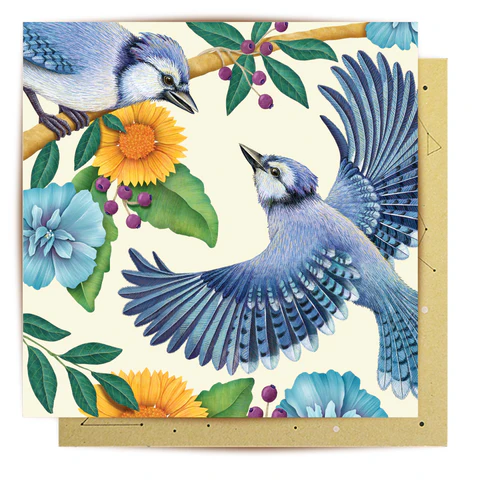 LALA CARD BLUE JAY BIRTHDAY
