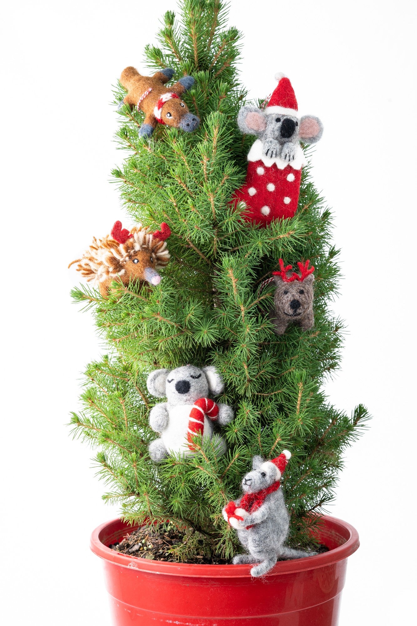 DECORATION KOALA STOCKING