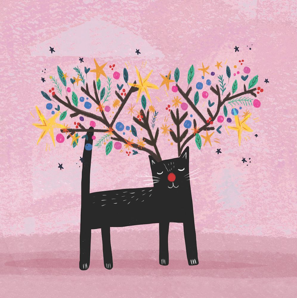 CHARITY CHRISTMAS CARD PACK BCNA - FESTIVE CAT
