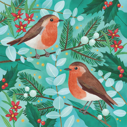 CHARITY CHRISTMAS CARD PACK CMRI - ROBINS