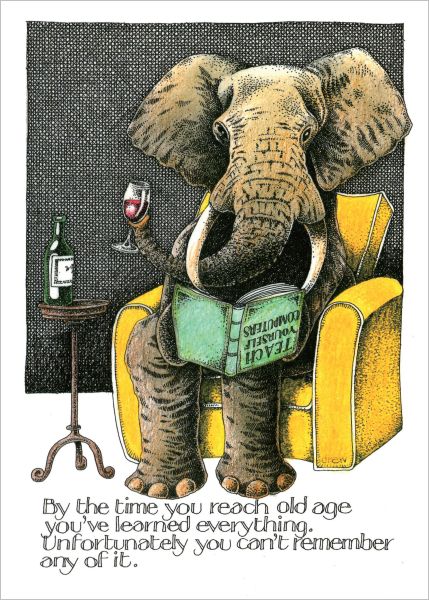 SIMON DREW CARD ELEPHANT