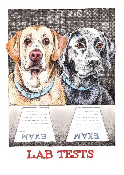 SIMON DREW CARD LAB TESTS