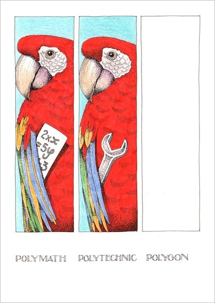 SIMON DREW CARD POLYGON