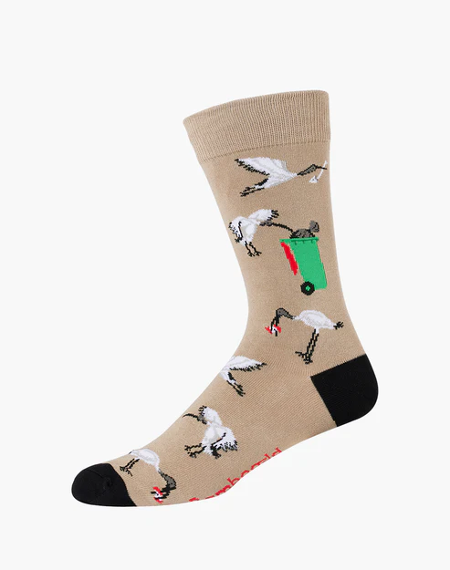 BAMBOOZLD SOCKS BIN CHICKEN SIZE 11-14