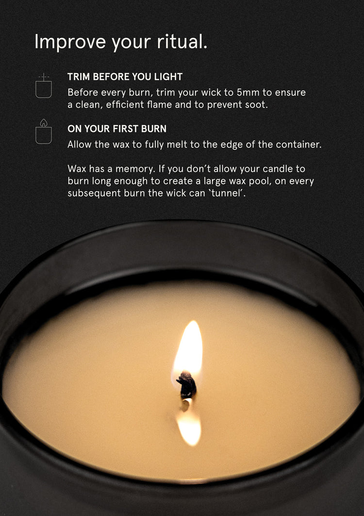 SMITH & CO CANDLE TABAC & CEDARWOOD 250G