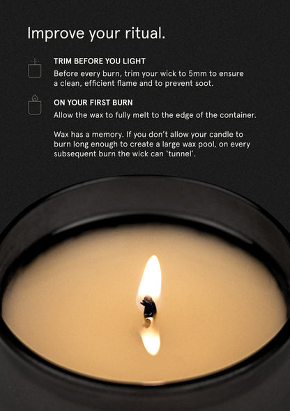 SMITH & CO CANDLE TABAC & CEDARWOOD 250G