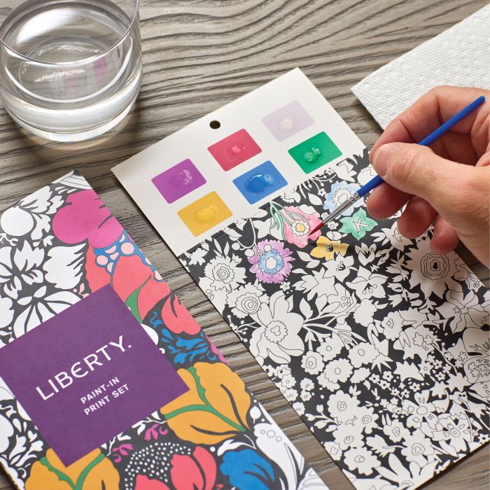 LIBERTY PAINT-IN PRINT SET