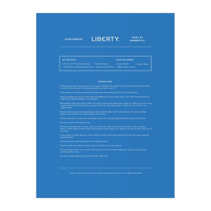 LIBERTY GLASTONBURY PAINT BY NUMBER KIT