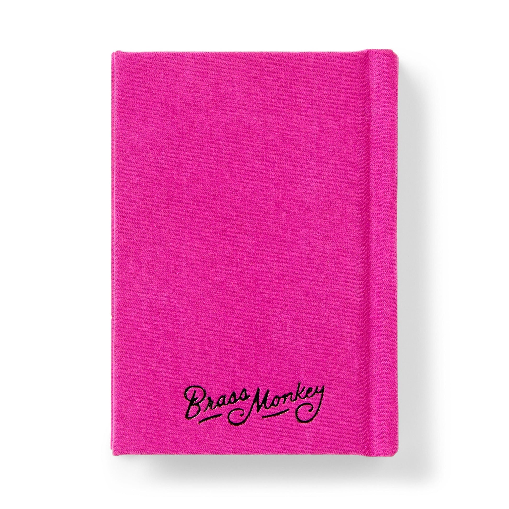 BRASS MONKEY TINY DIARY FOR NOT SO TINY SECRETS