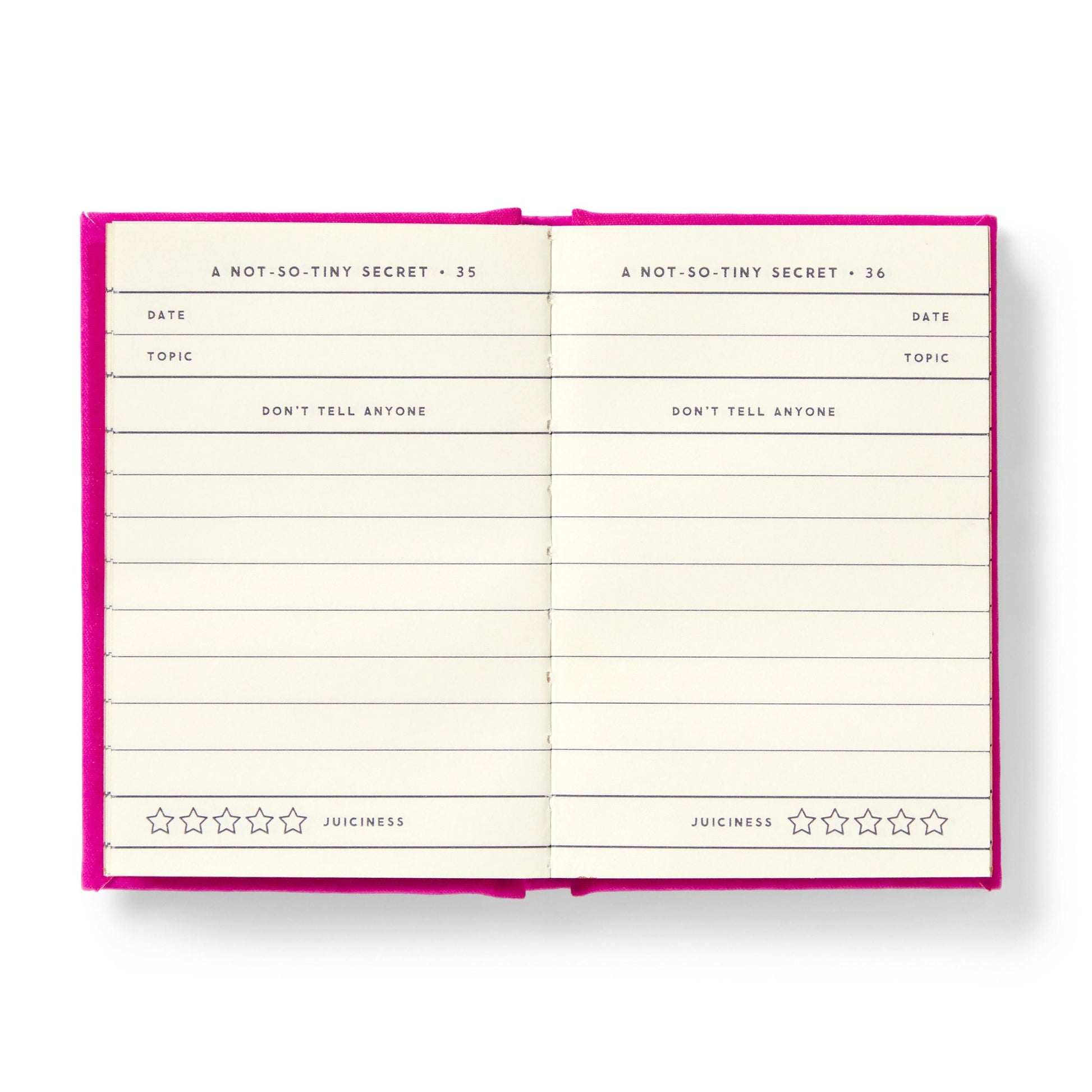 BRASS MONKEY TINY DIARY FOR NOT SO TINY SECRETS